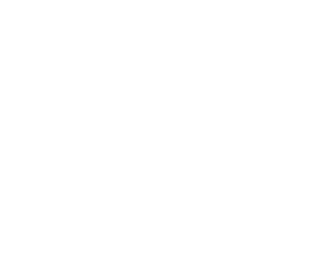 Flying Skull Aerial and Movement Arts