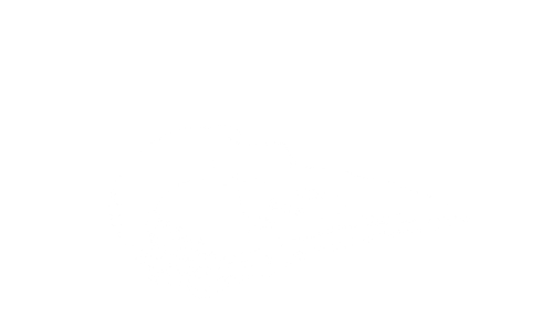 The words "Flying Skull" above a wood print-style picture of a raven skull