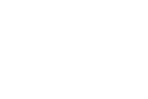 A realistic cartoon of a white human skull flies through the air calling "Helloooo!" Caption reads "I'm AHHHHnold WHEEEsley."